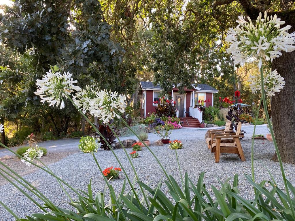 Amitabha Wine Country Cottage (Santa Rosa) 
